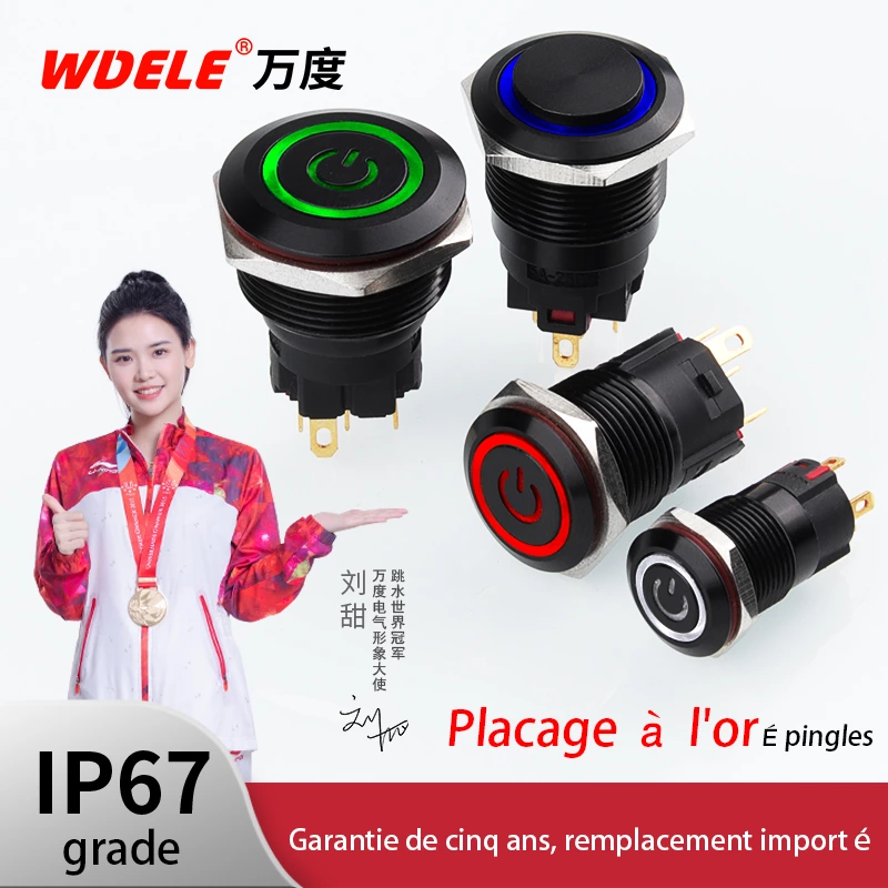 Interrupteurs à bouton-poussoir en métal noir oxydé série WD-A