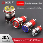 Bouton métallique haute intensité personnalisé de la série WD-D