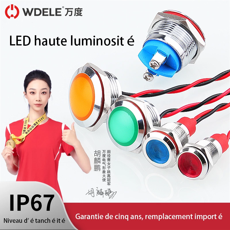 Voyants lumineux métalliques de la série WD-L